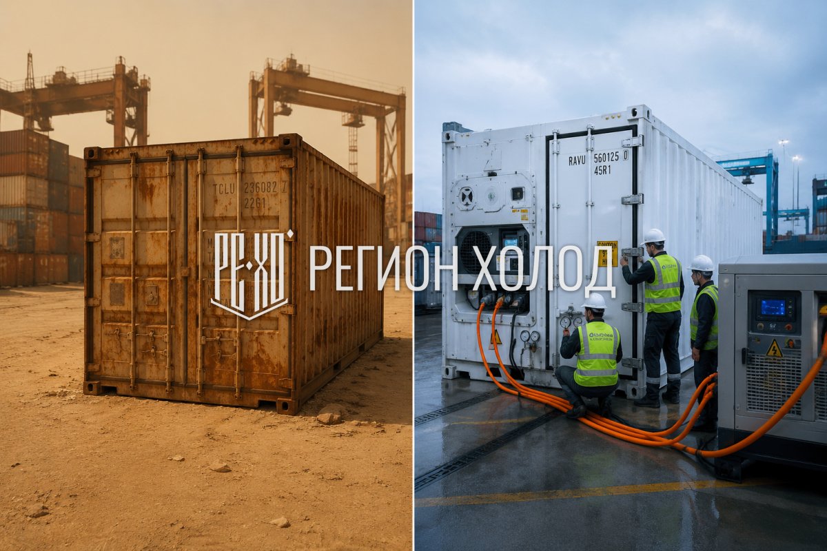 Рефрижератор vs Сухой контейнер: Два мира одного терминала