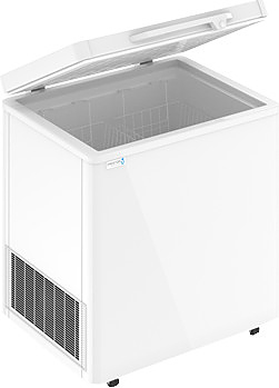 Ларь морозильный Frostor F 300 S